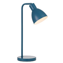 Pivot Iron Gooseneck Desk Lamp